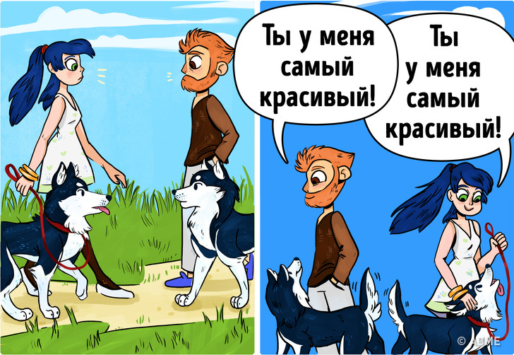 15&nbsp;вещей, которые делают все владельцы собак