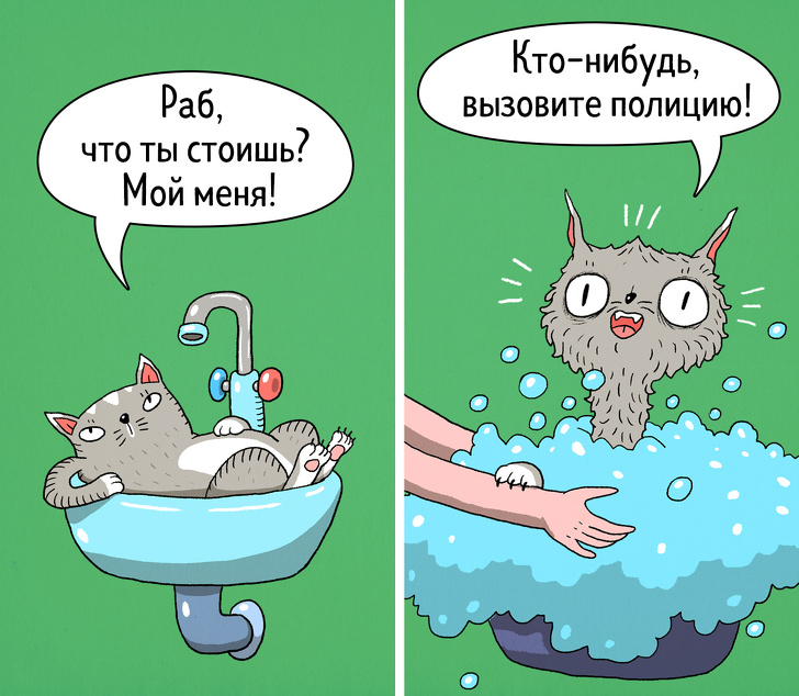 14&nbsp;комиксов о&nbsp;том, что коты&nbsp;&mdash; самые противоречивые создания на&nbsp;планете