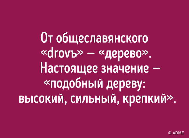 Даже если вы&nbsp;отлично знаете русский язык, происхождение этих слов вас удивит