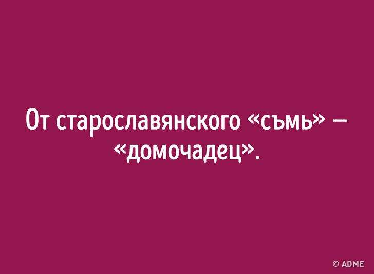 Даже если вы&nbsp;отлично знаете русский язык, происхождение этих слов вас удивит