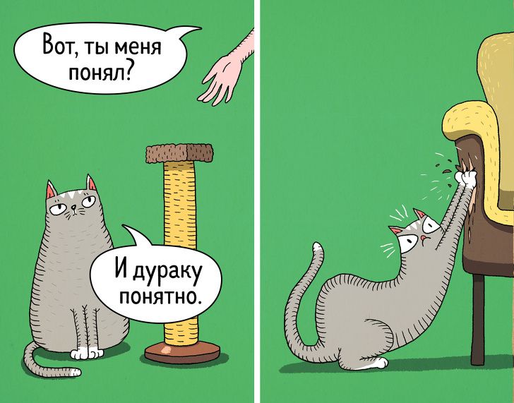 14&nbsp;комиксов о&nbsp;том, что коты&nbsp;&mdash; самые противоречивые создания на&nbsp;планете