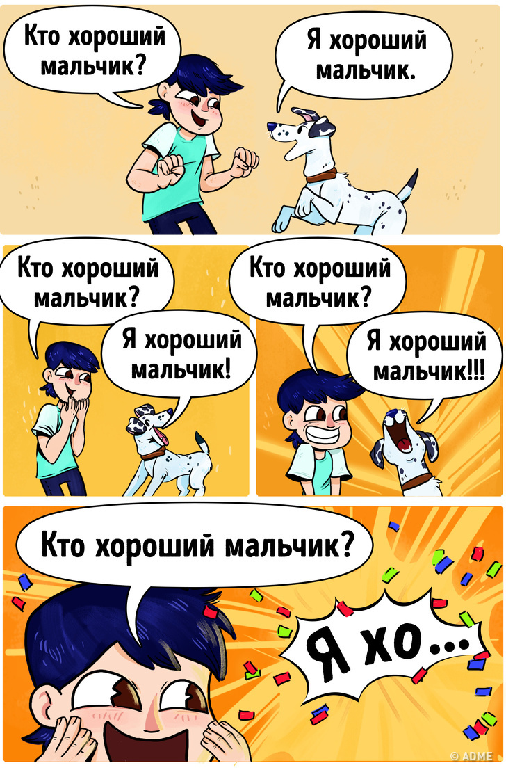 15&nbsp;вещей, которые делают все владельцы собак