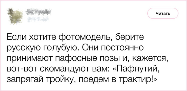 20+&nbsp;фактов о&nbsp;психологии и&nbsp;характере кошек, которыми поделился заводчик со&nbsp;стажем