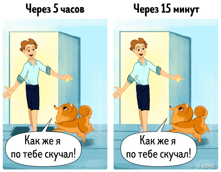 14&nbsp;комиксов, которые расскажут, почему владельцы собак живут дольше и&nbsp;счастливее остальных людей