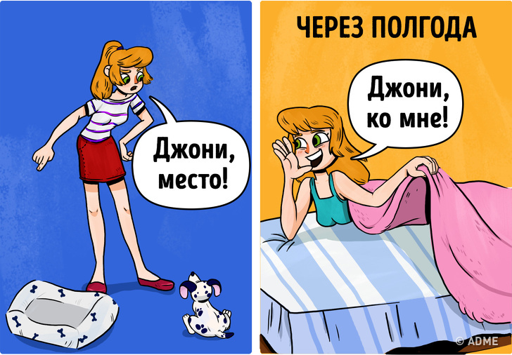 15&nbsp;вещей, которые делают все владельцы собак