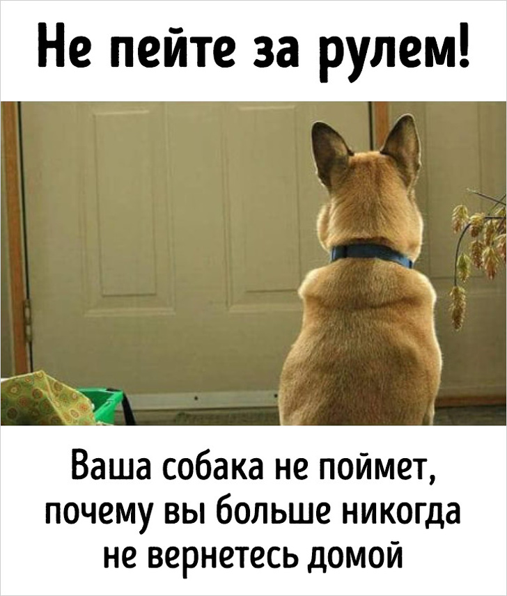 20&nbsp;доказательств того, что качественная социальная реклама должна вызывать шок