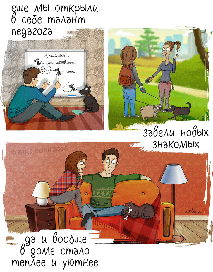 10+&nbsp;вещей, которые мы&nbsp;поняли, когда взяли собаку из&nbsp;приюта