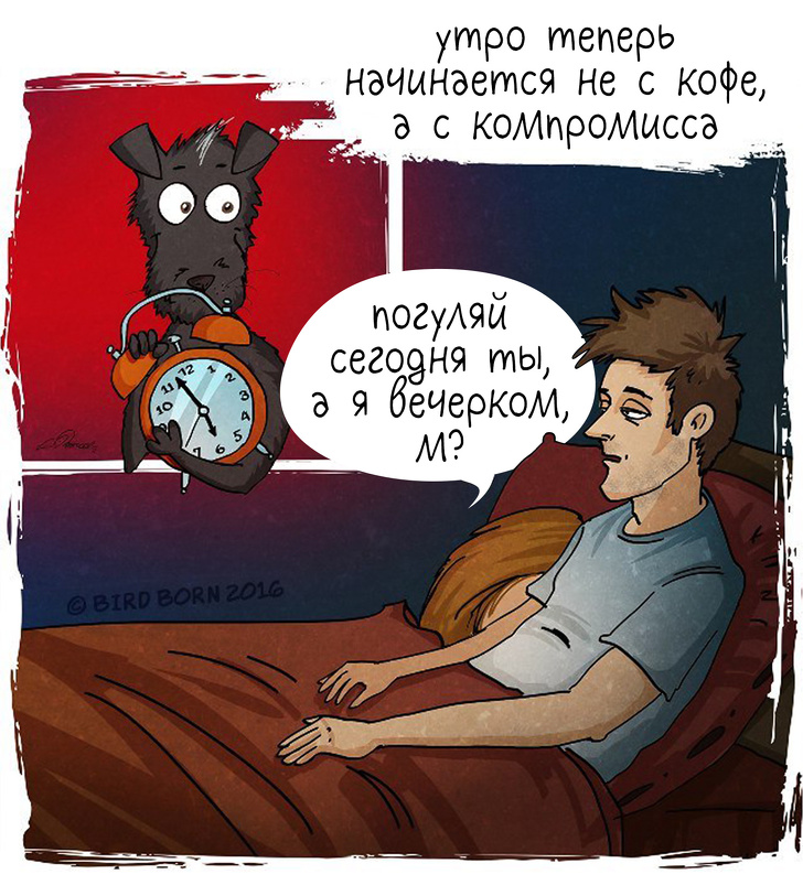 10+&nbsp;вещей, которые мы&nbsp;поняли, когда взяли собаку из&nbsp;приюта