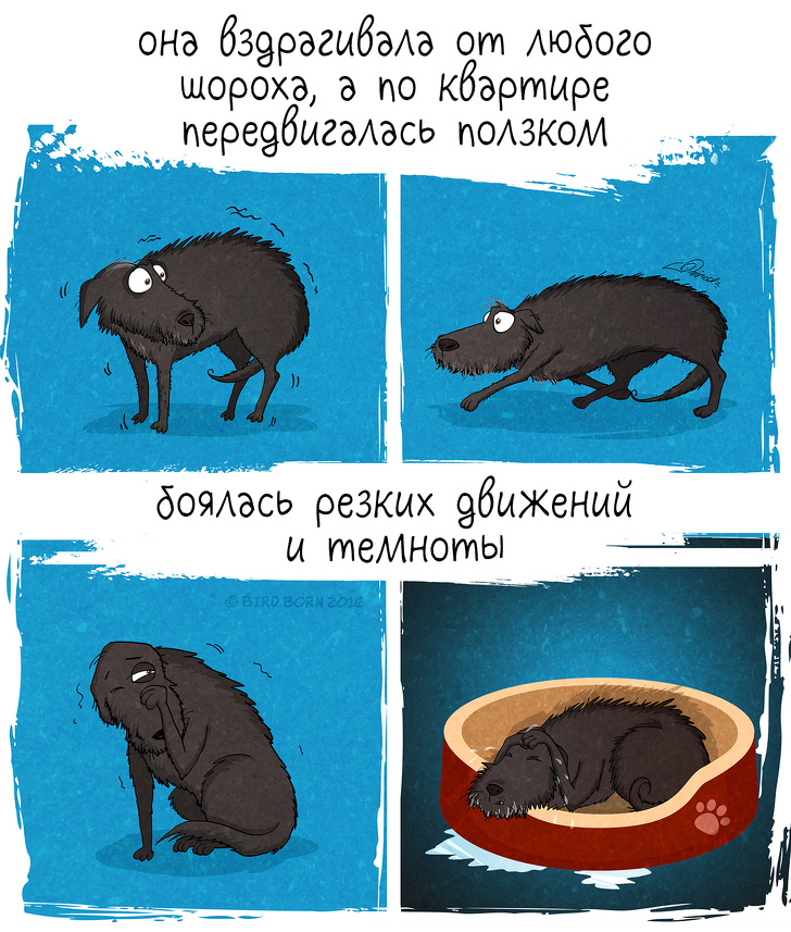 10+&nbsp;вещей, которые мы&nbsp;поняли, когда взяли собаку из&nbsp;приюта