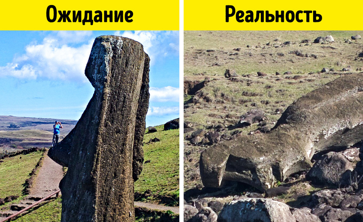 Автор <a href=