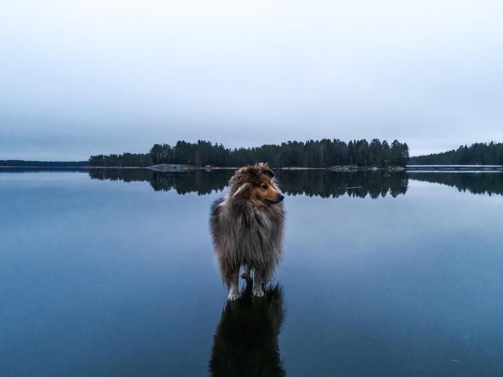17&nbsp;ярких фотографий, на&nbsp;которых запечатлена магия момента