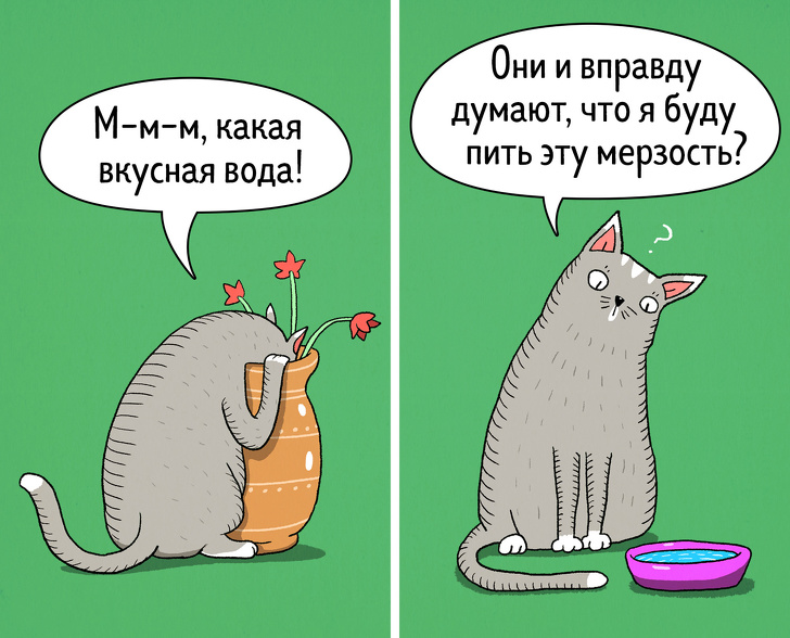 14&nbsp;комиксов о&nbsp;том, что коты&nbsp;&mdash; самые противоречивые создания на&nbsp;планете