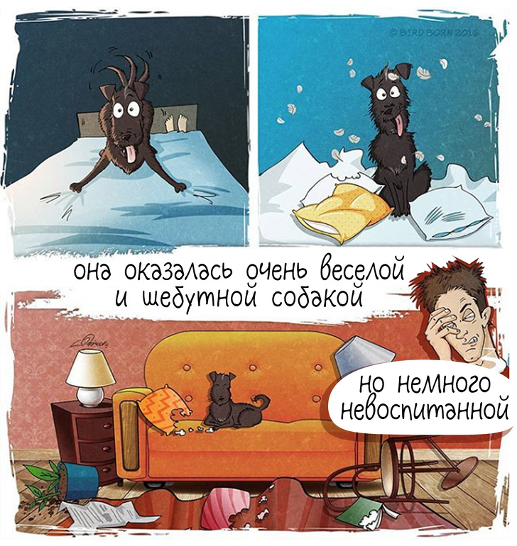 10+&nbsp;вещей, которые мы&nbsp;поняли, когда взяли собаку из&nbsp;приюта