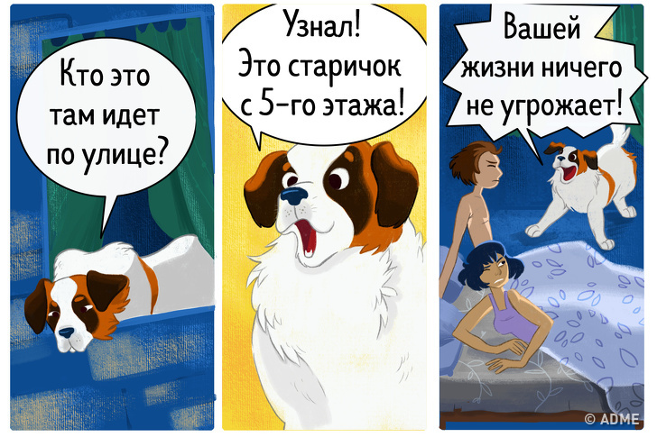 14&nbsp;комиксов, которые расскажут, почему владельцы собак живут дольше и&nbsp;счастливее остальных людей