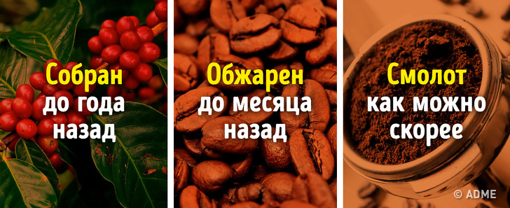 Мы&nbsp;узнали у&nbsp;профессионала, как приготовить по-настоящему крутой кофе