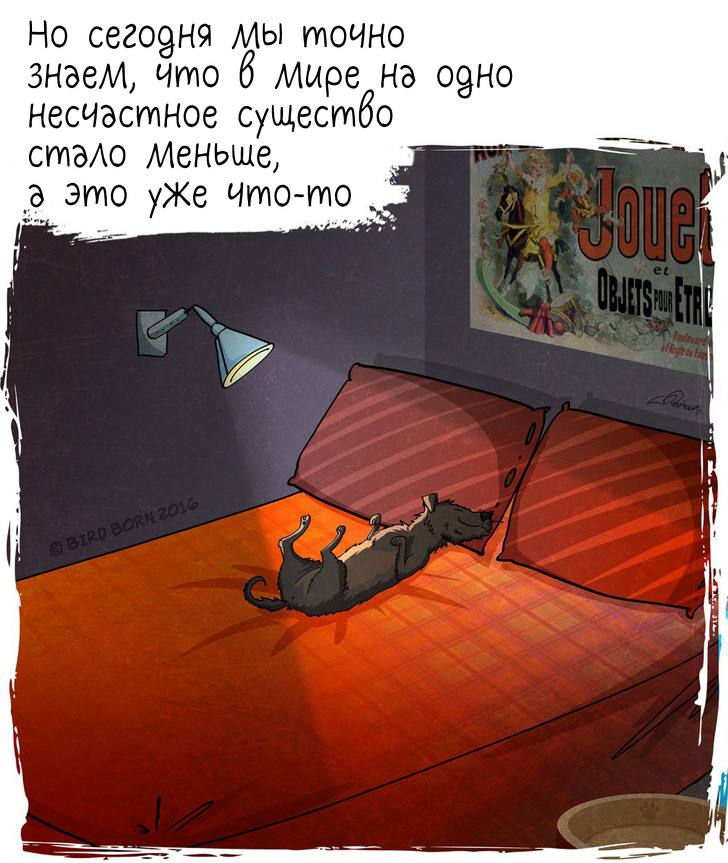 10+&nbsp;вещей, которые мы&nbsp;поняли, когда взяли собаку из&nbsp;приюта