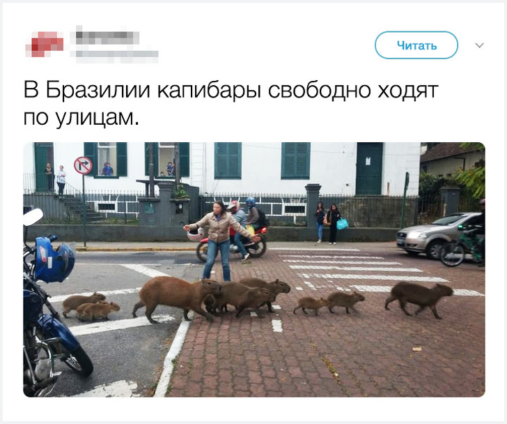 18&nbsp;историй о&nbsp;людях, которые переехали из&nbsp;страны, но&nbsp;в&nbsp;душе остались русскими