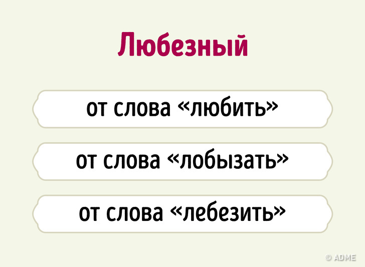 Даже если вы&nbsp;отлично знаете русский язык, происхождение этих слов вас удивит