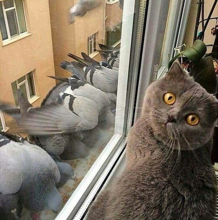 20+&nbsp;человек, которых до&nbsp;сих пор одолевает осенняя хандра