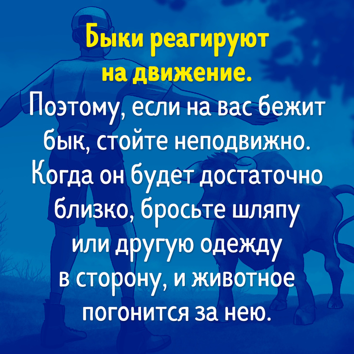 Тест: Сможете&nbsp;ли вы&nbsp;выжить в&nbsp;смертельно опасной ситуации?