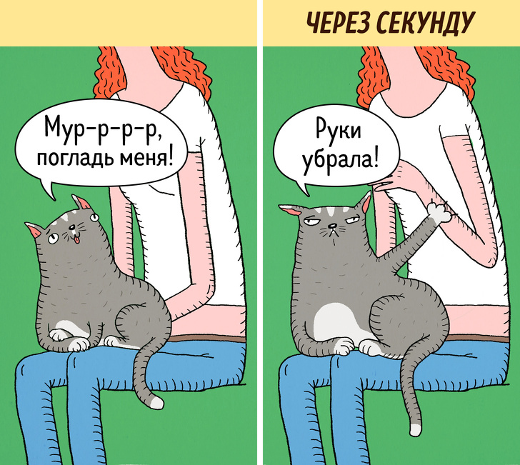 14&nbsp;комиксов о&nbsp;том, что коты&nbsp;&mdash; самые противоречивые создания на&nbsp;планете
