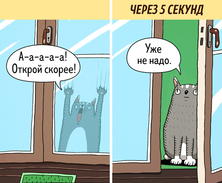 14&nbsp;комиксов о&nbsp;том, что коты&nbsp;&mdash; самые противоречивые создания на&nbsp;планете
