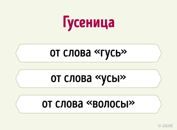 Даже если вы&nbsp;отлично знаете русский язык, происхождение этих слов вас удивит