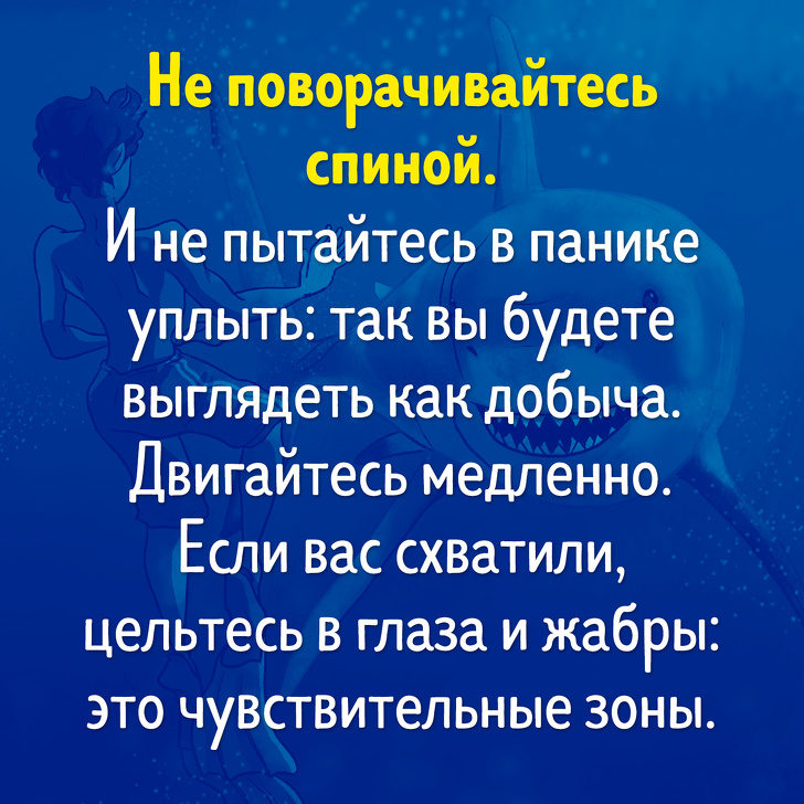 Тест: Сможете&nbsp;ли вы&nbsp;выжить в&nbsp;смертельно опасной ситуации?