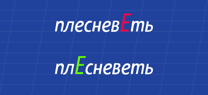 14&nbsp;ударений, от&nbsp;которых хочется воскликнуть: &laquo;Не&nbsp;может быть!&raquo;