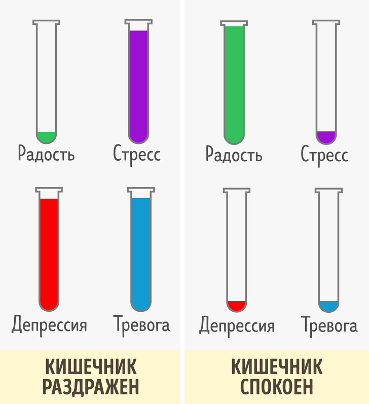 10&nbsp;неочевидных тревожных сигналов кишечника, которые не&nbsp;стоит игнорировать