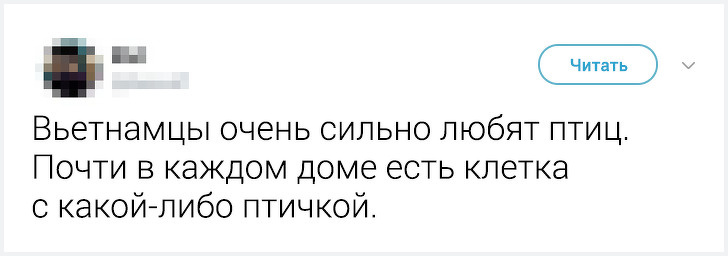 Местные жители рассказали неожиданные факты о&nbsp;жизни в&nbsp;своих странах. Истории о&nbsp;Корее удивляют больше всего