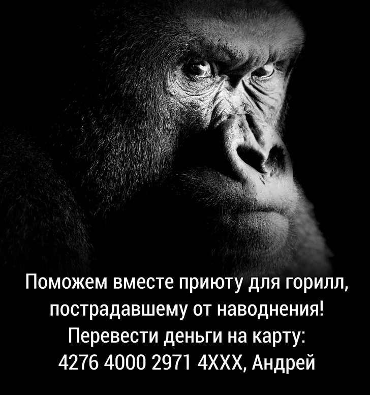10&nbsp;популярных разводов в&nbsp;сети: проверьте, надежно&nbsp;ли вы&nbsp;защищены от&nbsp;мошенников в&nbsp;интернете