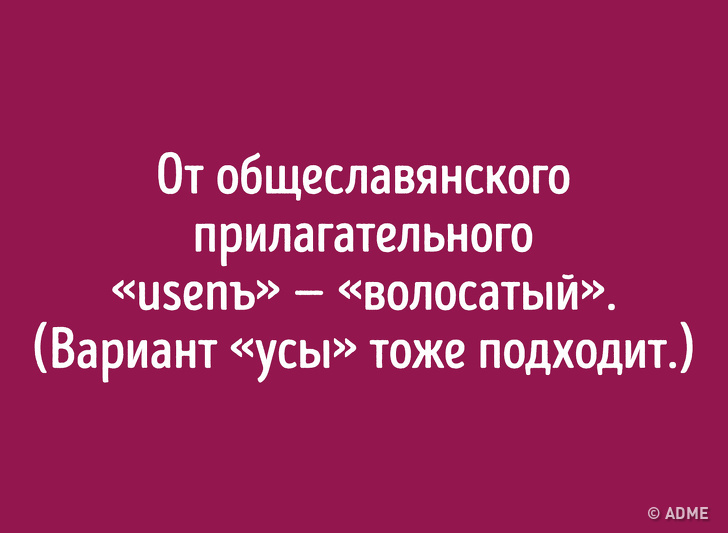 Даже если вы&nbsp;отлично знаете русский язык, происхождение этих слов вас удивит
