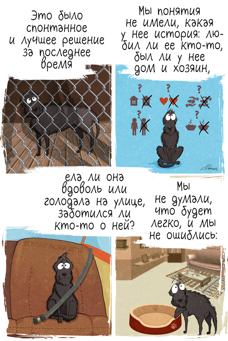 10+&nbsp;вещей, которые мы&nbsp;поняли, когда взяли собаку из&nbsp;приюта