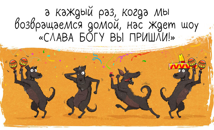 10+&nbsp;вещей, которые мы&nbsp;поняли, когда взяли собаку из&nbsp;приюта