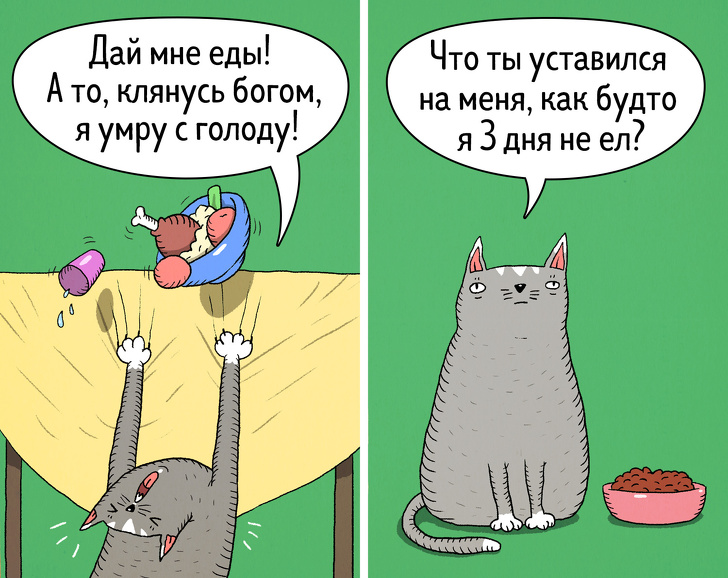 14&nbsp;комиксов о&nbsp;том, что коты&nbsp;&mdash; самые противоречивые создания на&nbsp;планете