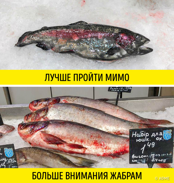 Как в&nbsp;магазине распознать рыбу, которую опасно есть