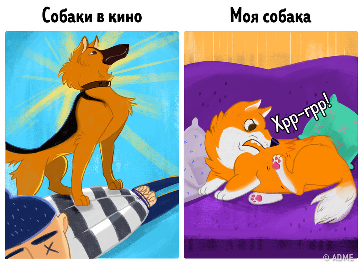 14&nbsp;комиксов, которые расскажут, почему владельцы собак живут дольше и&nbsp;счастливее остальных людей