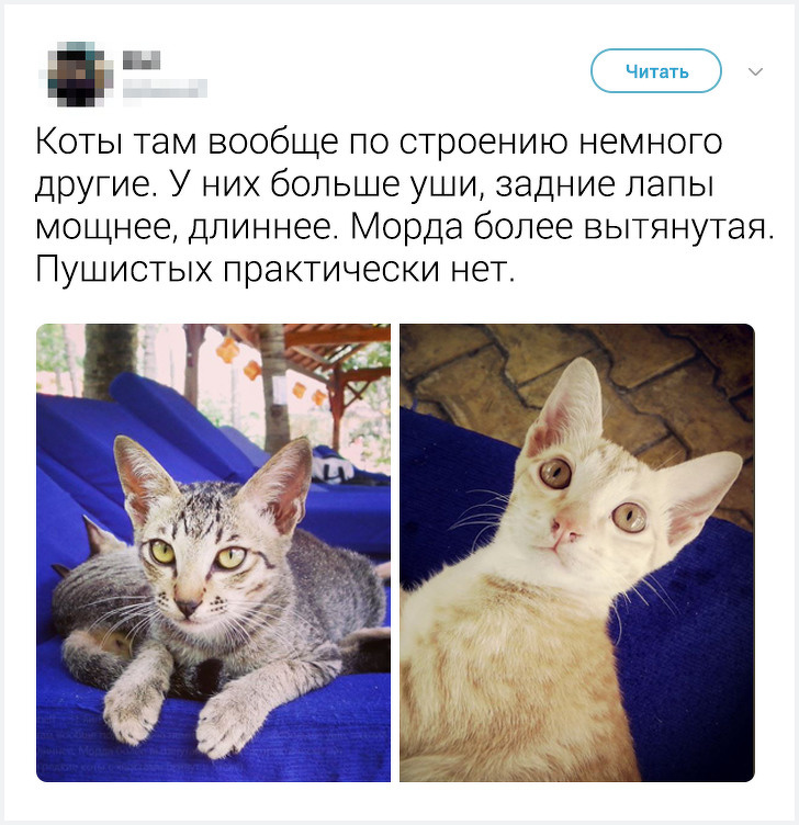 Местные жители рассказали неожиданные факты о&nbsp;жизни в&nbsp;своих странах. Истории о&nbsp;Корее удивляют больше всего