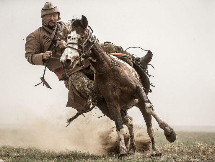 National Geographic выбрал лучшие фото 2018&nbsp;года. Глядя на&nbsp;них, жалеешь, что фотограф&nbsp;&mdash; не&nbsp;ты
