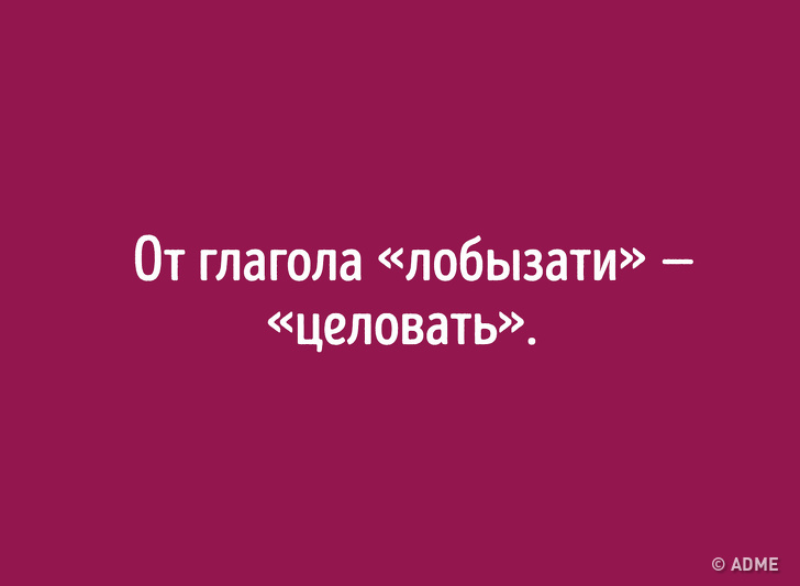 Даже если вы&nbsp;отлично знаете русский язык, происхождение этих слов вас удивит
