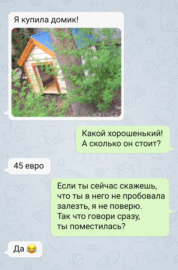 История о&nbsp;том, как я&nbsp;стала хозяйкой слепого пса из&nbsp;приюта