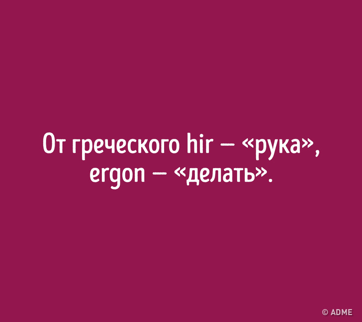 Даже если вы&nbsp;отлично знаете русский язык, происхождение этих слов вас удивит