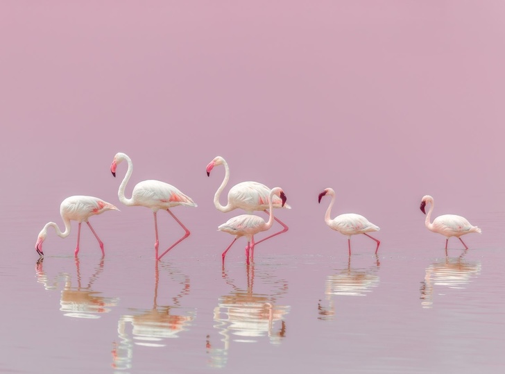 National Geographic выбрал лучшие фото 2018&nbsp;года. Глядя на&nbsp;них, жалеешь, что фотограф&nbsp;&mdash; не&nbsp;ты