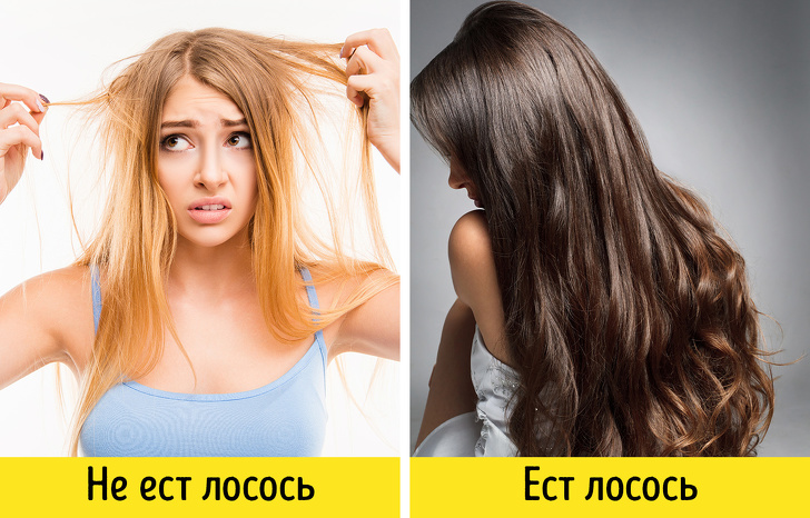 10 продуктов, от которых нельзя отказываться даже на самой жесткой диете