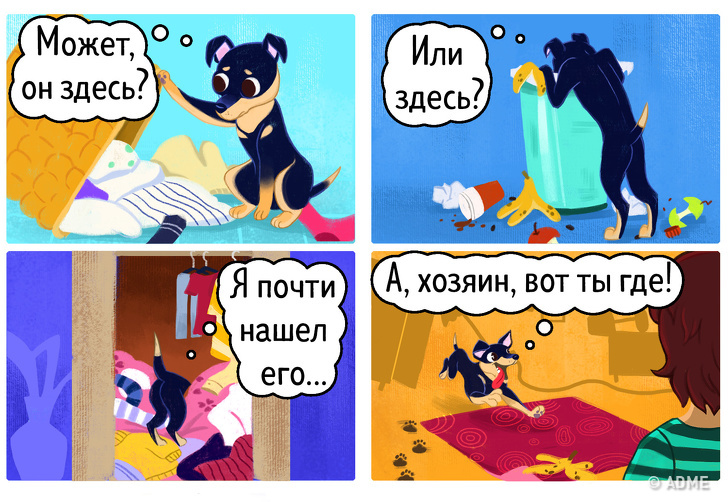 14&nbsp;комиксов, которые расскажут, почему владельцы собак живут дольше и&nbsp;счастливее остальных людей