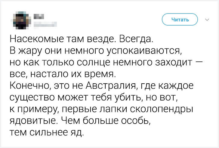 Местные жители рассказали неожиданные факты о&nbsp;жизни в&nbsp;своих странах. Истории о&nbsp;Корее удивляют больше всего