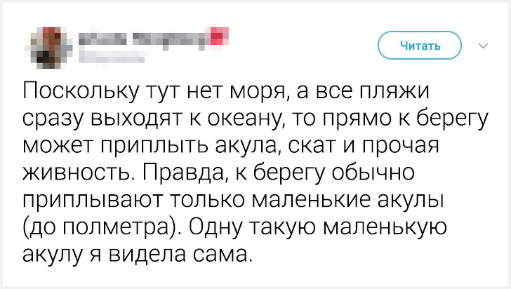 Местные жители рассказали неожиданные факты о&nbsp;жизни в&nbsp;своих странах. Истории о&nbsp;Корее удивляют больше всего