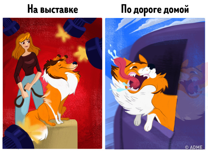 14&nbsp;комиксов, которые расскажут, почему владельцы собак живут дольше и&nbsp;счастливее остальных людей