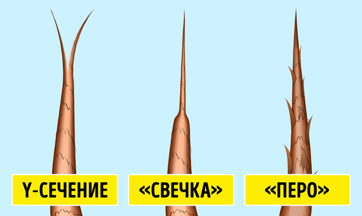 Что состояние волос может рассказать о&nbsp;вашем здоровье